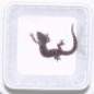 Preview: Tiertransportschale 25 Schalen, 25 Deckel